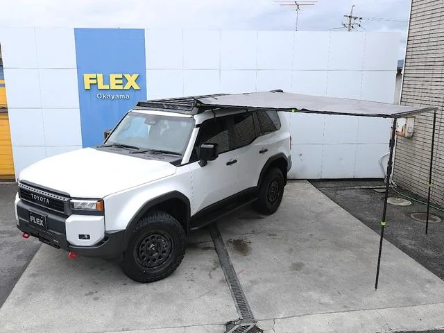 1001276a20260628g002-79